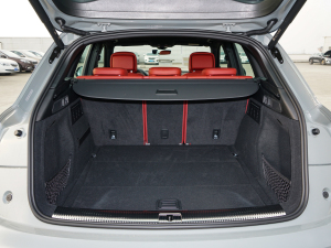 20223.0 TFSI quattro g