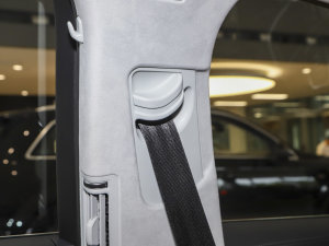 2023A8L 55 TFSI quattro Ş g