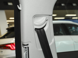 2023A8L 45 TFSI quattro A g