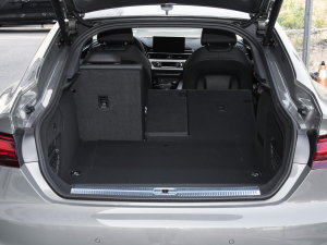 2023Sportback 40 TFSI rЄӸ g