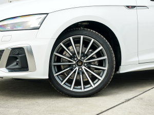 2023款奥迪A5 Sportback Sportback 40 TFSI quattro 豪华动感型