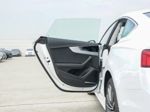2023款Sportback 40 TFSI quattro 豪华动感型 左后车门