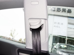 2023Coupe 40 TFSI rЄӸ g