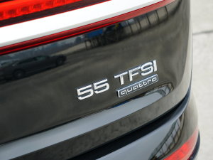 202355 TFSI quattro S F ^
