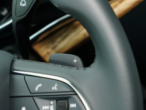 202355 TFSI quattro S F п؅^