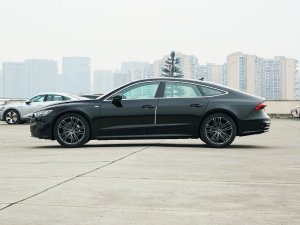 2023款45 TFSI 臻选型 正侧（左）