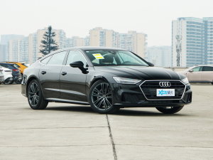 2023款45 TFSI 臻选型 右前45度