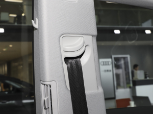 2023��55 TFSI ���A�Ӹ��� ���g����