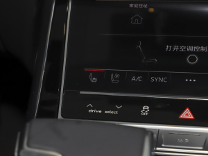 2023��55 TFSI ���A�Ӹ��� ���g����