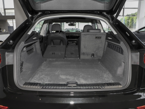 2023��55 TFSI ���A�Ӹ��� ���g����