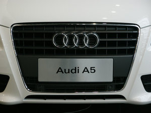 2010��2.0TFSI Cabriolet �������^