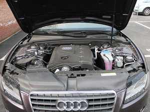2010��2.0TFSI Cabriolet �l�әC