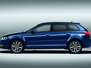 2010Sportback 1.4T A w^