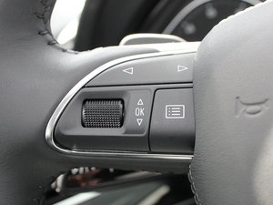 20113.0TFSI A(245kW) п؅^