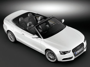 2012��2.0TFSI Cabriolet ���w���^