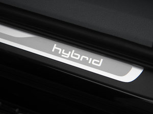 201340 Hybrid g