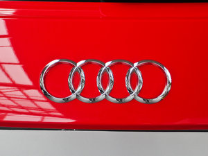 201330 TFSI Ї Ego ^