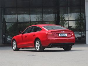 2013款40TFSI 左后45度