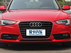 2013款40TFSI 中网