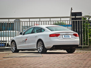 2013款40TFSI 风尚版 左后45度