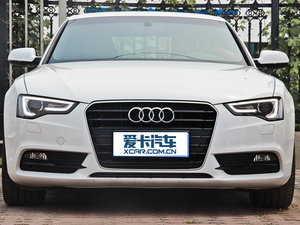 2013款40TFSI 风尚版 中网