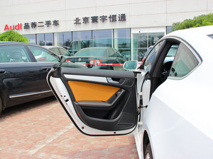 2013款40TFSI 风尚版 左后车门