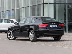 2014款45TFSI 左后45度