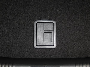 201445TFSI L(fng)а g