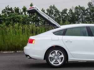 201645 TFSI (x)(ji)^(gun)