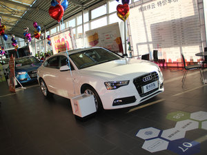 2016款45 TFSI quattro 整体外观
