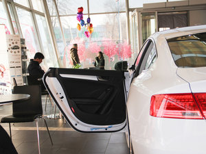 2016款45 TFSI quattro 左后车门