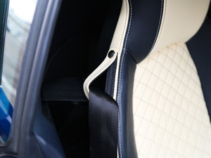 2016V10 Performance g