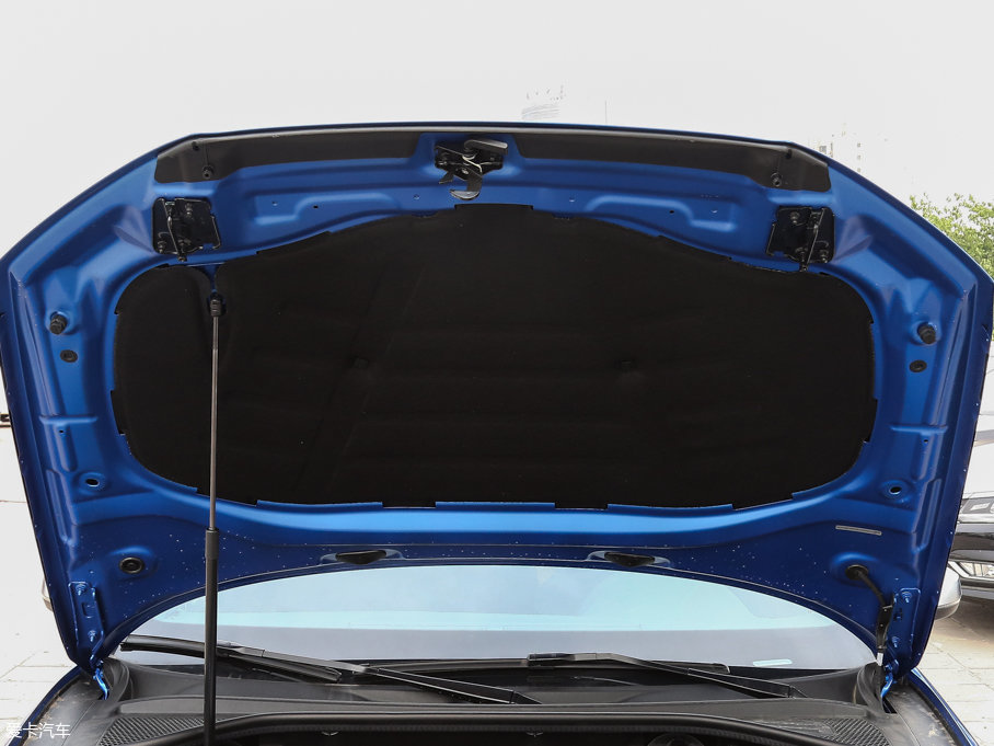 2017WS3 2.0TFSI Limousine