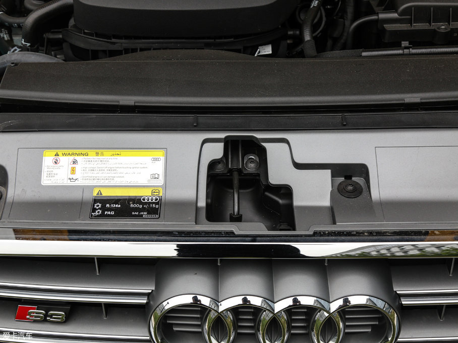 2017WS3 2.0TFSI Limousine