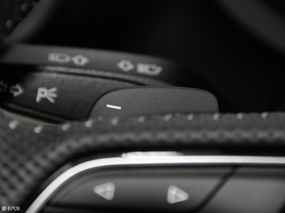 2017WS3 2.0TFSI Limousine