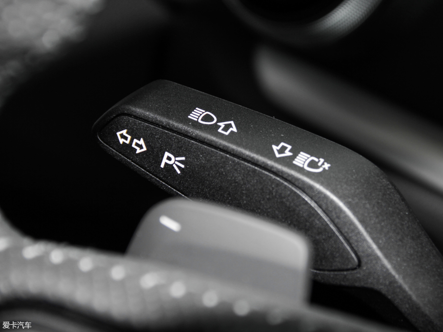 2017WS3 2.0TFSI Limousine