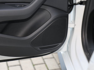 2017Sportback 45 TFSI quattro \ g