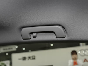 2017Sportback 40 TFSI r g