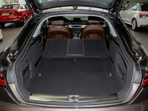 2017Sportback 40 TFSI r g