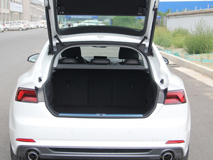 2017Sportback 45 TFSI r g