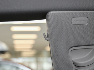 2017Sportback 45 TFSI r g