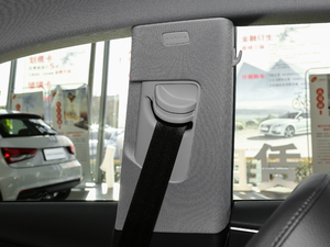 2017Sportback 45 TFSI r g