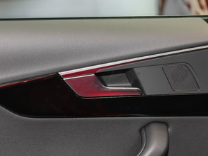 2017Sportback 45 TFSI r g