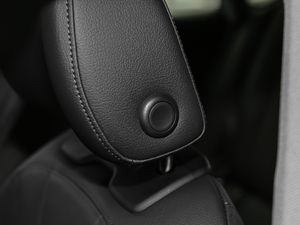 2017Sportback 45 TFSI r g