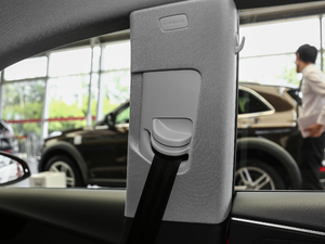 2017Sportback 45 TFSI r g