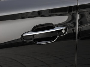 2017款6.3L W12 quattro 旗舰型 主驾门拉手