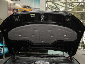 201745 TFSI quattro ׿Խh 