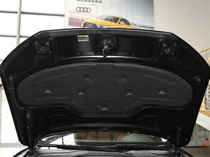 2017款45 TFSI quattro 领先精英典藏版 其它