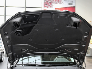 2018款55TFSI quattro 尊享投放版 其它