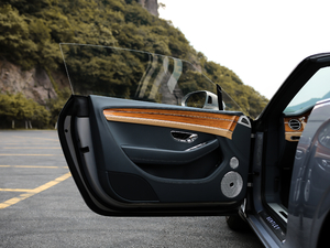 20196.0T GT W12  {λ܇T